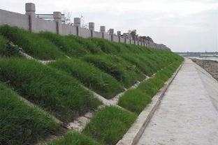 綿竹加強河道水環(huán)境治理，推進(jìn)生態(tài)環(huán)境檢測服務(wù)